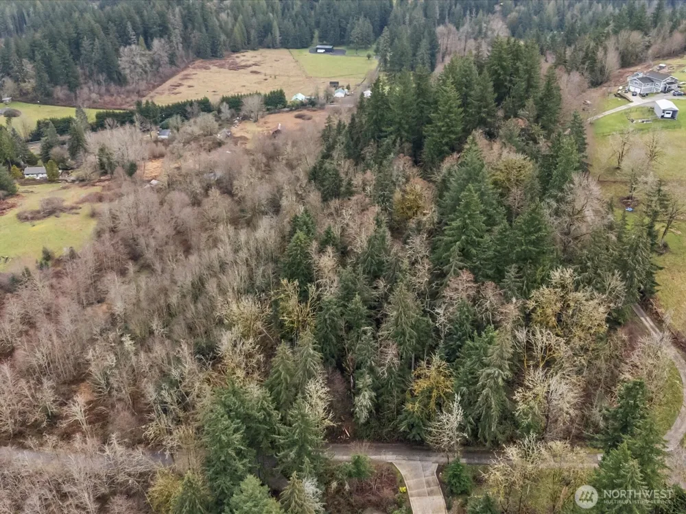259 XXX 272nd Avenue SE Ravensdale, WA 98051
