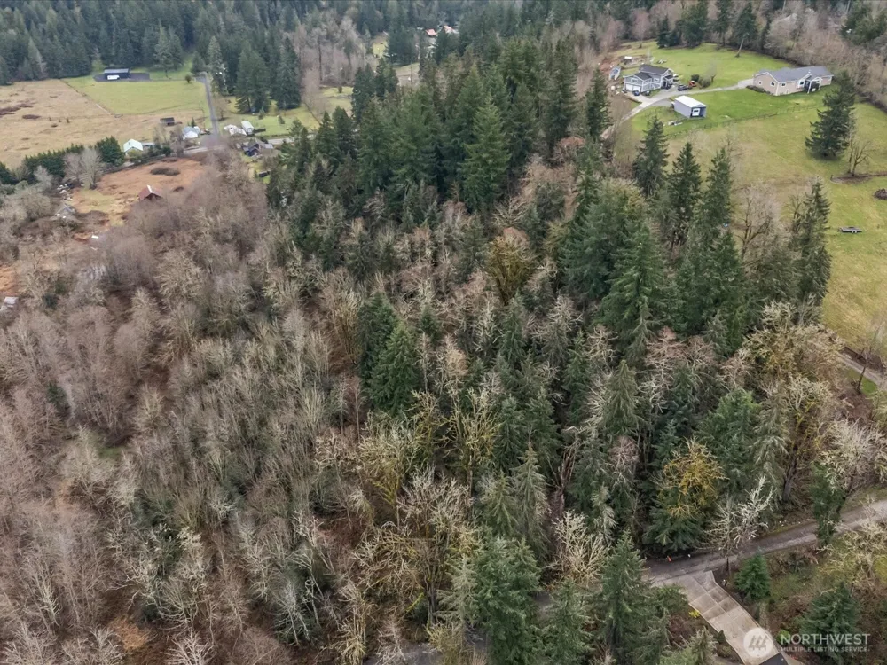 259 XXX 272nd Avenue SE Ravensdale, WA 98051