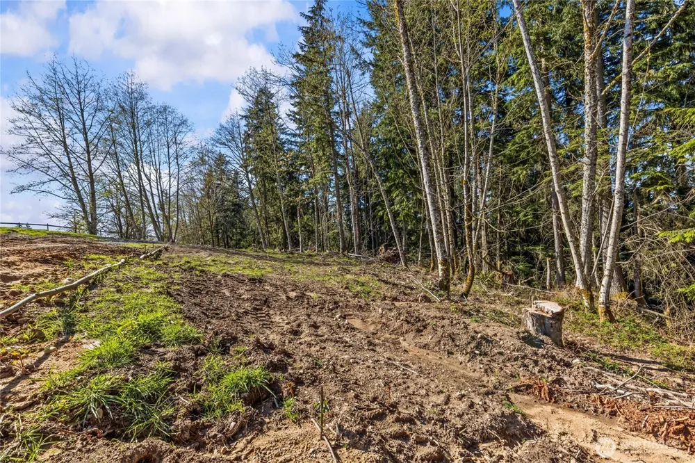 259 XXX 272nd Avenue SE Ravensdale, WA 98051
