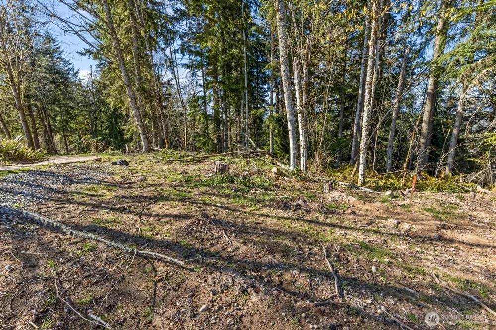 259 XXX 272nd Avenue SE Ravensdale, WA 98051