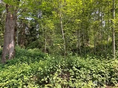 259 XXX 272nd Avenue SE Ravensdale, WA 98051