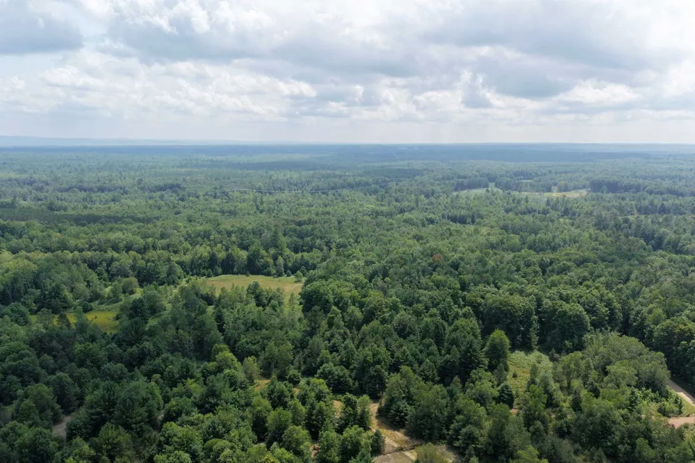 1 ROAD Wexford Township, MI 49620