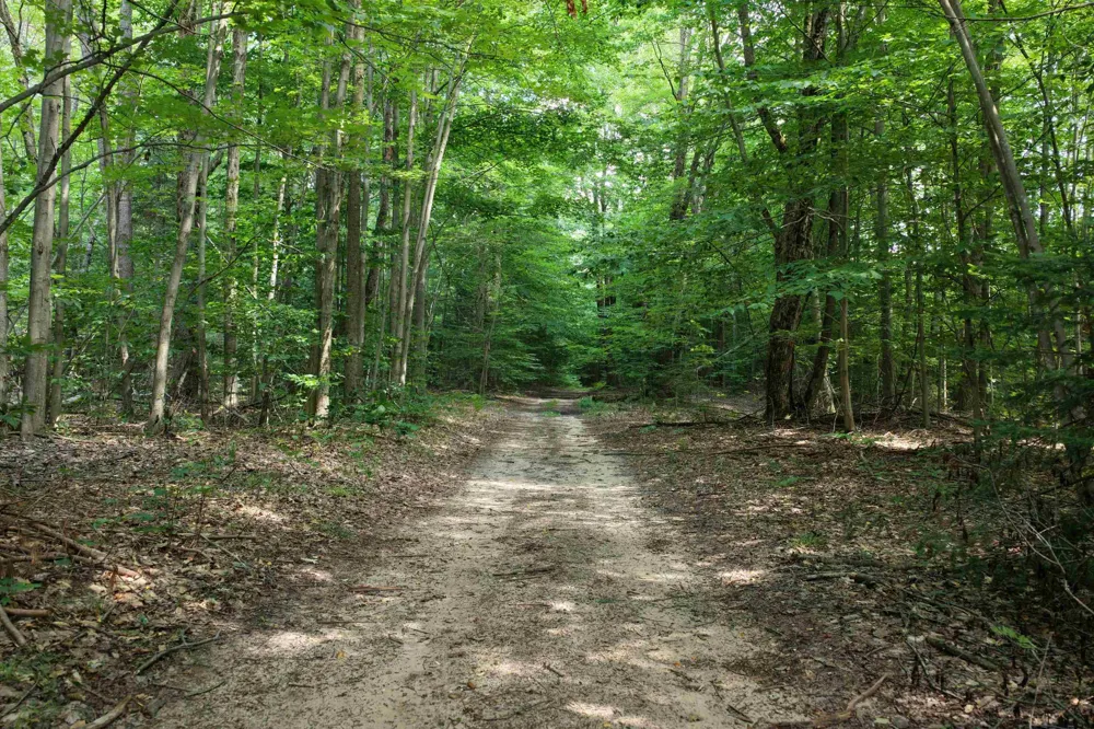 1 ROAD Wexford Township, MI 49620