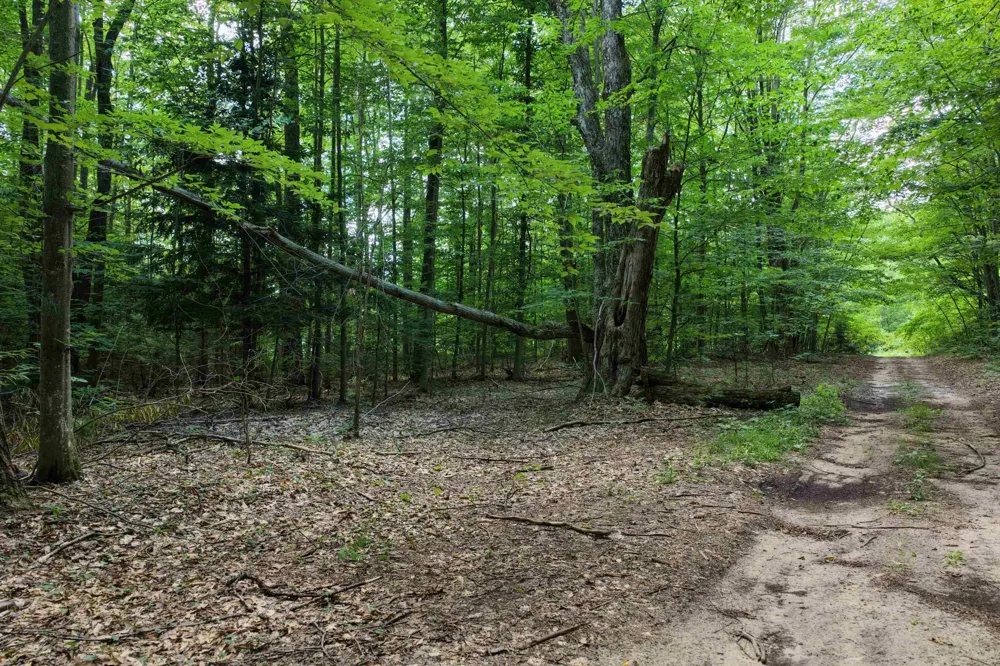 1 ROAD Wexford Township, MI 49620