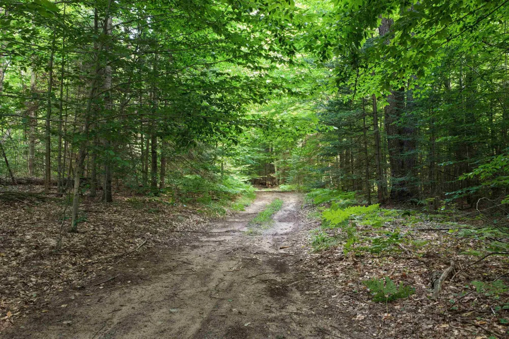 1 ROAD Wexford Township, MI 49620