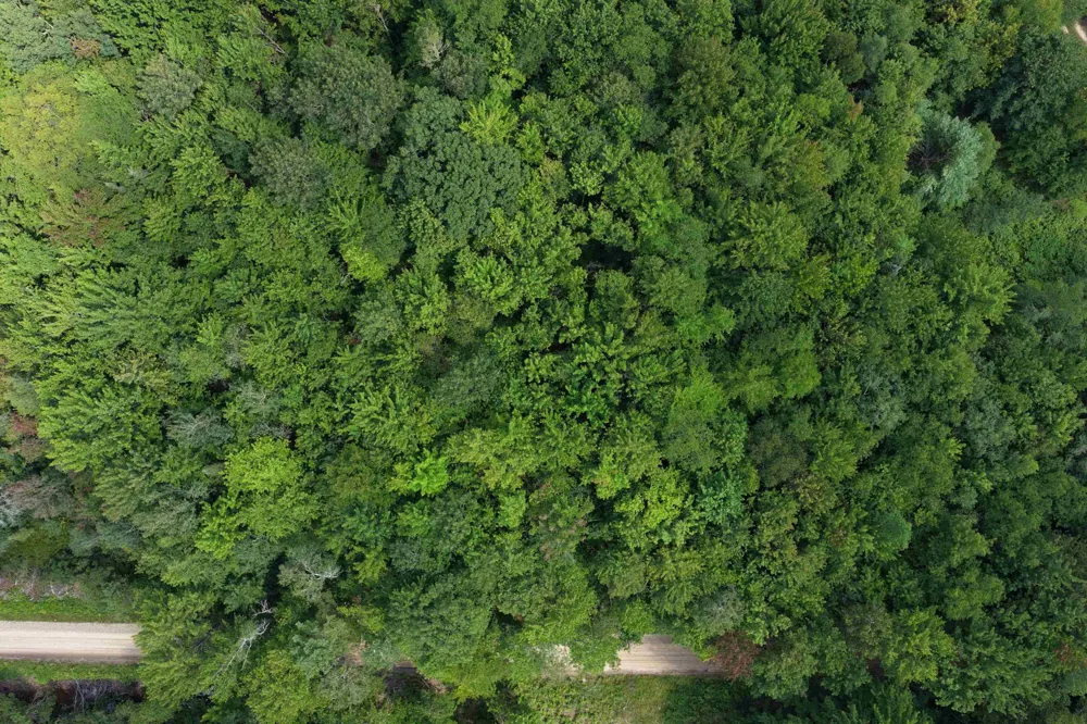 1 ROAD Wexford Township, MI 49620