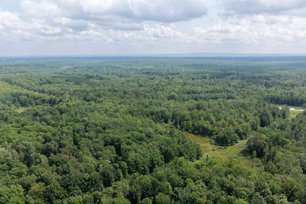 1 ROAD Wexford Township, MI 49620