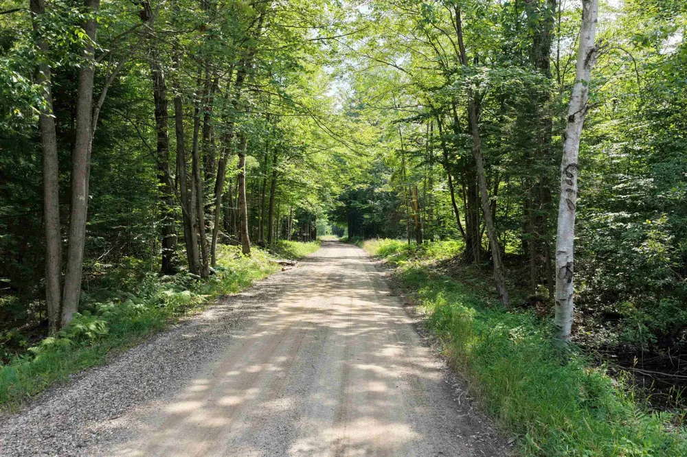 1 ROAD Wexford Township, MI 49620