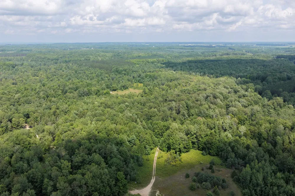 1 ROAD Wexford Township, MI 49620