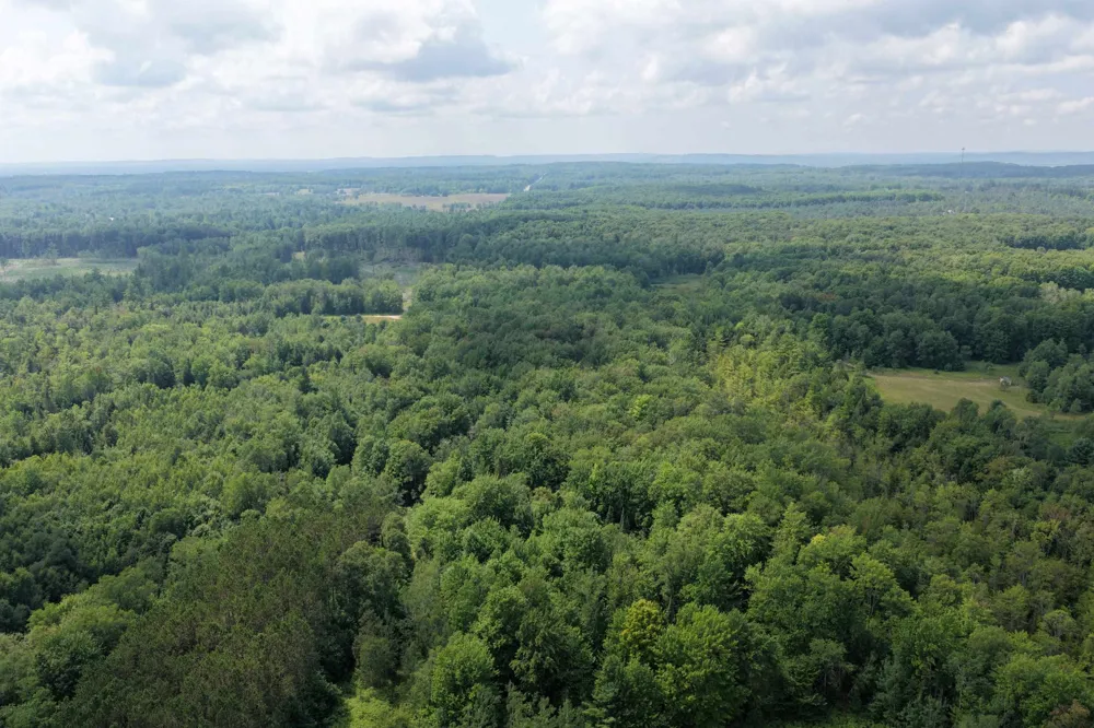 1 ROAD Wexford Township, MI 49620