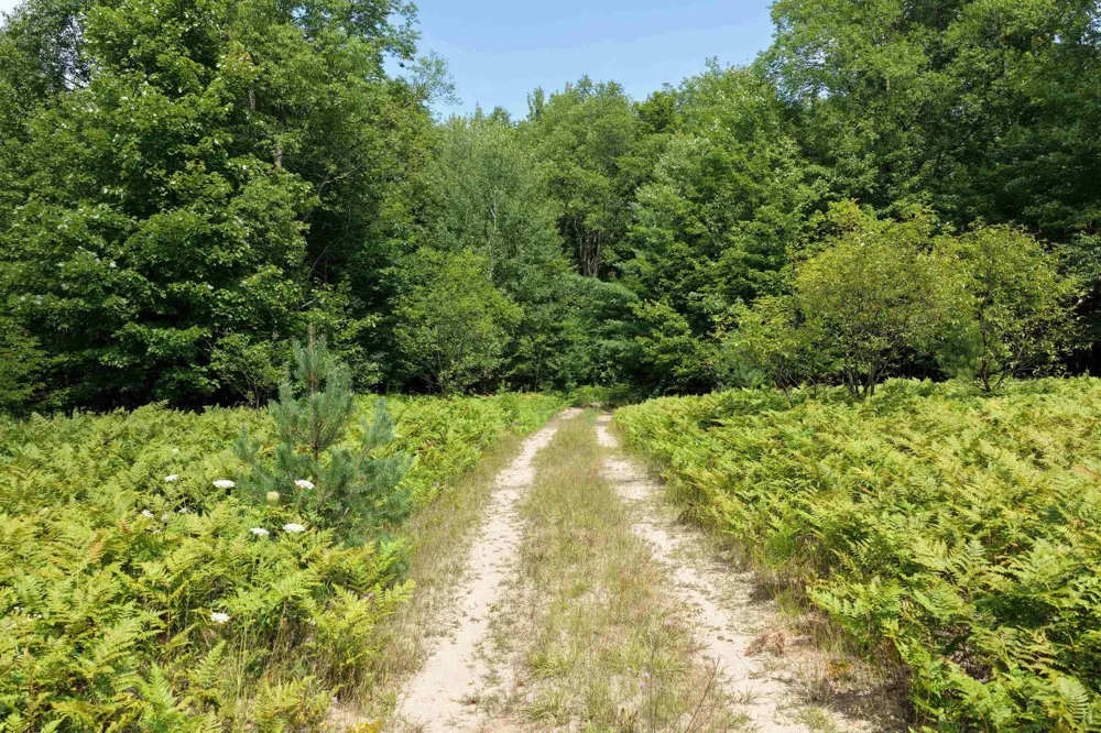 1 ROAD Wexford Township, MI 49620