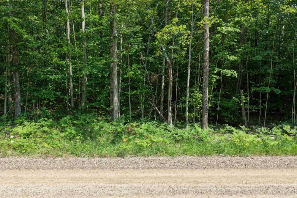 1 ROAD Wexford Township, MI 49620
