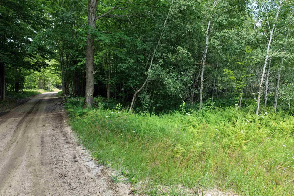 1 ROAD Wexford Township, MI 49620