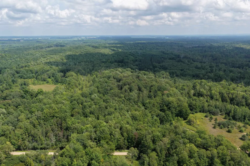 1 ROAD Wexford Township, MI 49620