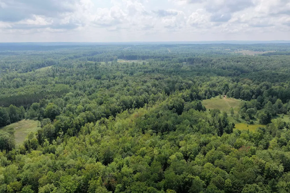 1 ROAD Wexford Township, MI 49620