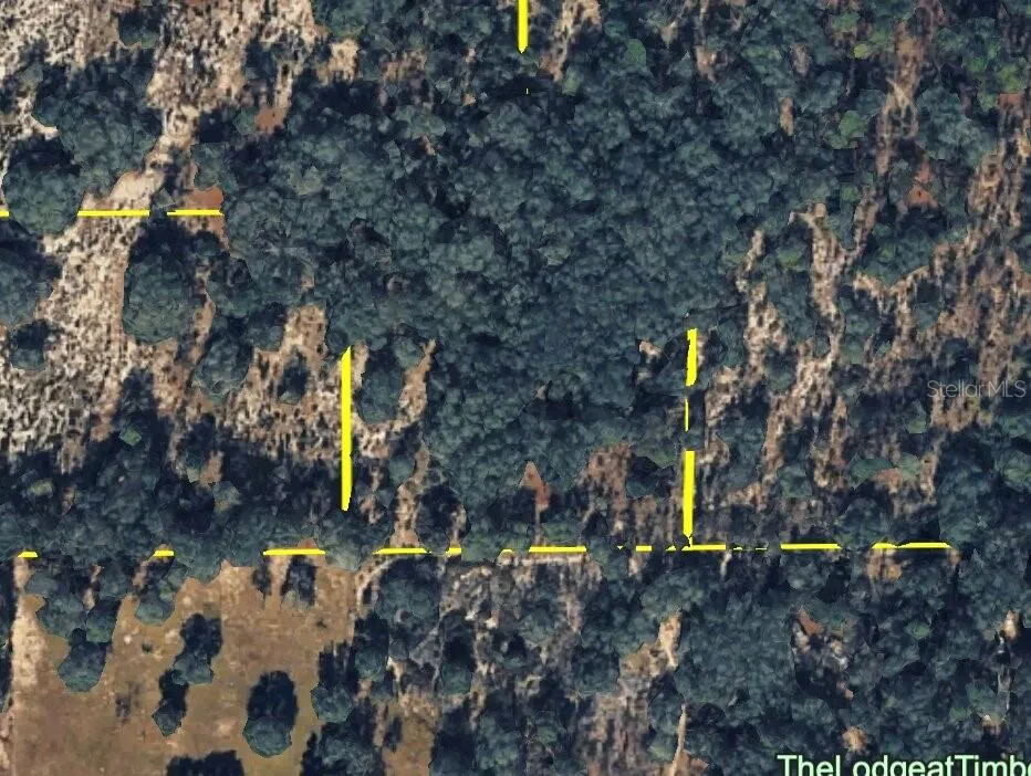 120 NE SR24 AVENUE NE Archer, FL 32618