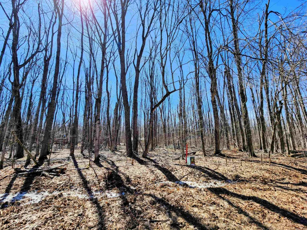 Crossbow Drive Star Township, MI 49730