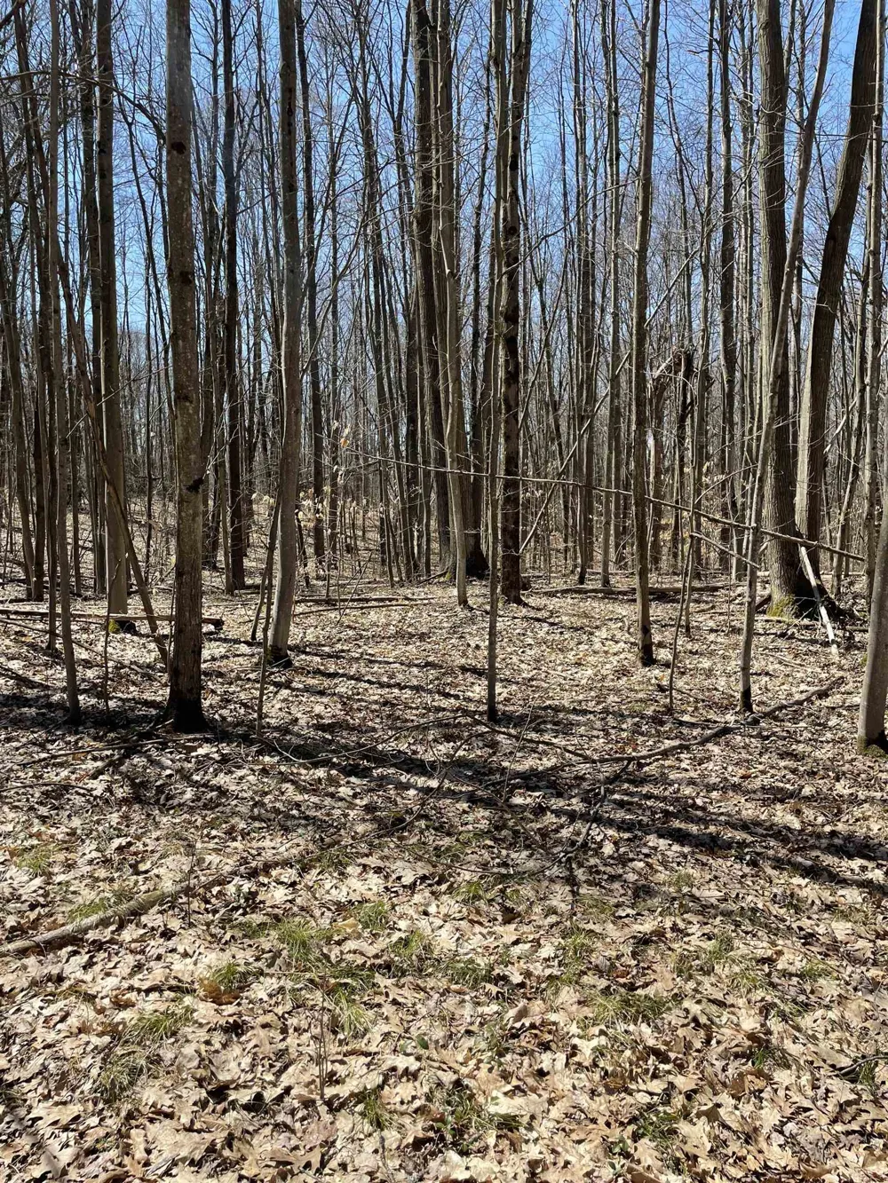8895 Grandview Trail Pinora Township, MI 49677