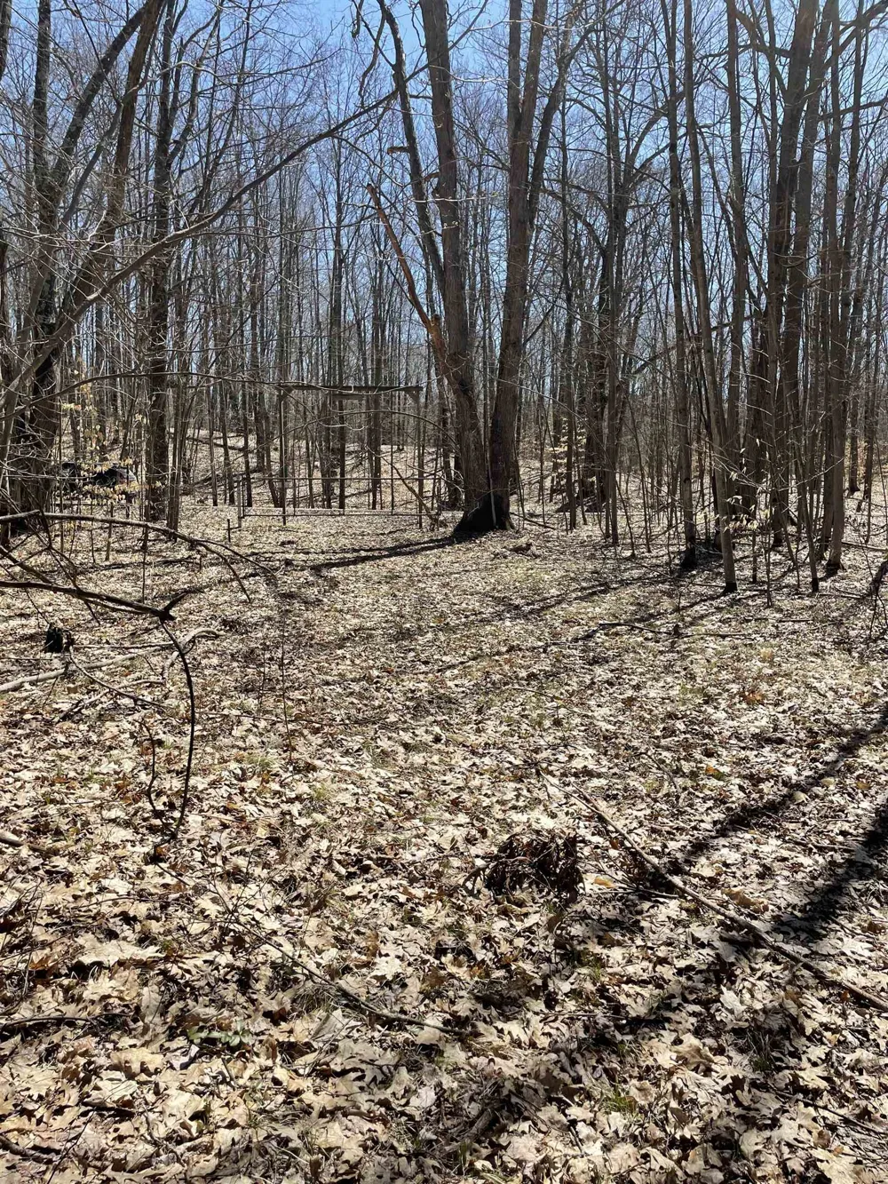 8895 Grandview Trail Pinora Township, MI 49677