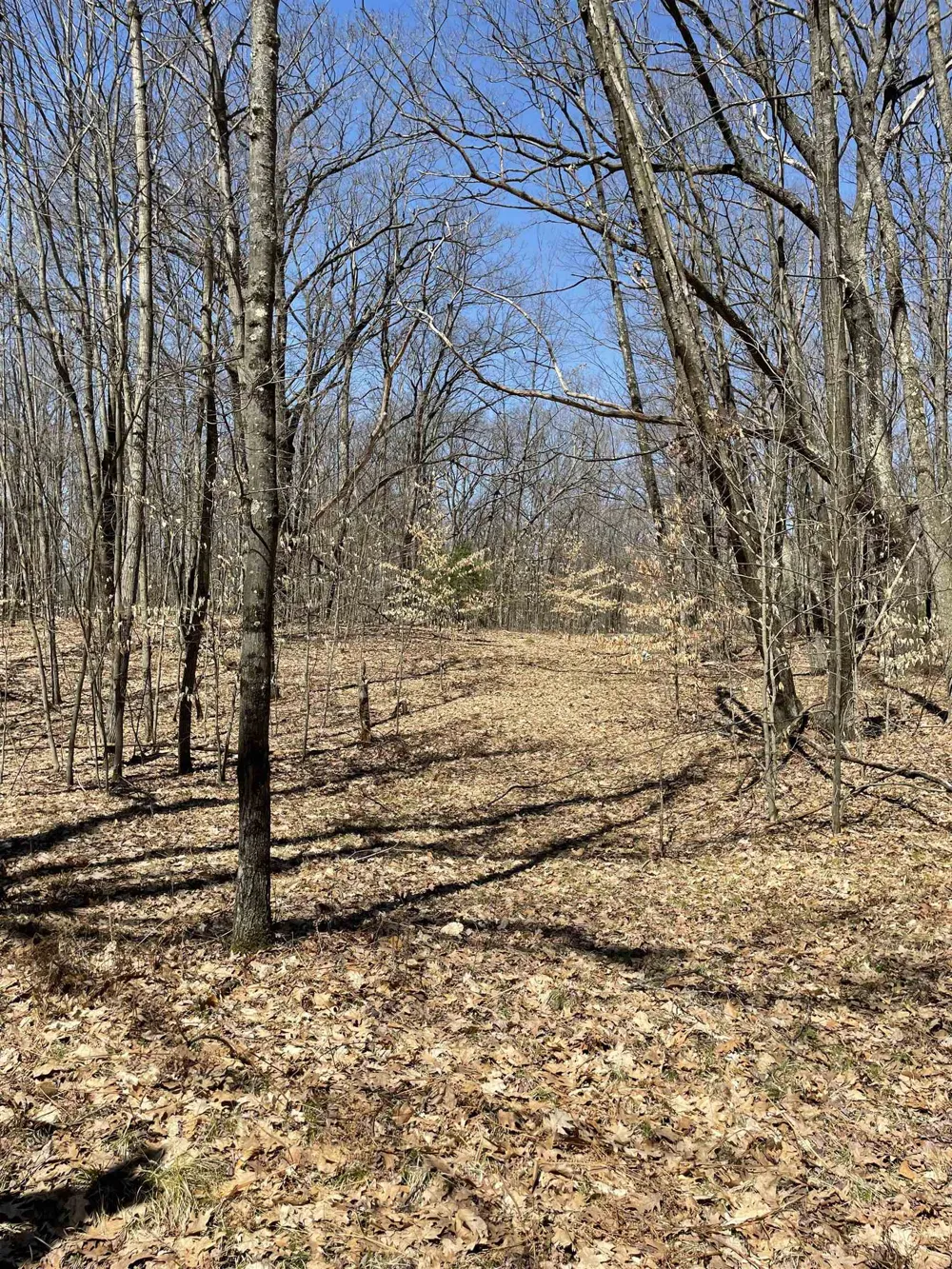 8895 Grandview Trail Pinora Township, MI 49677