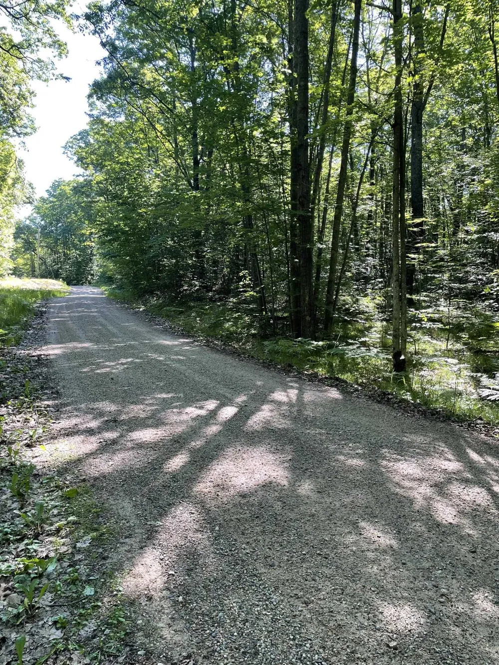 8895 Grandview Trail Pinora Township, MI 49677