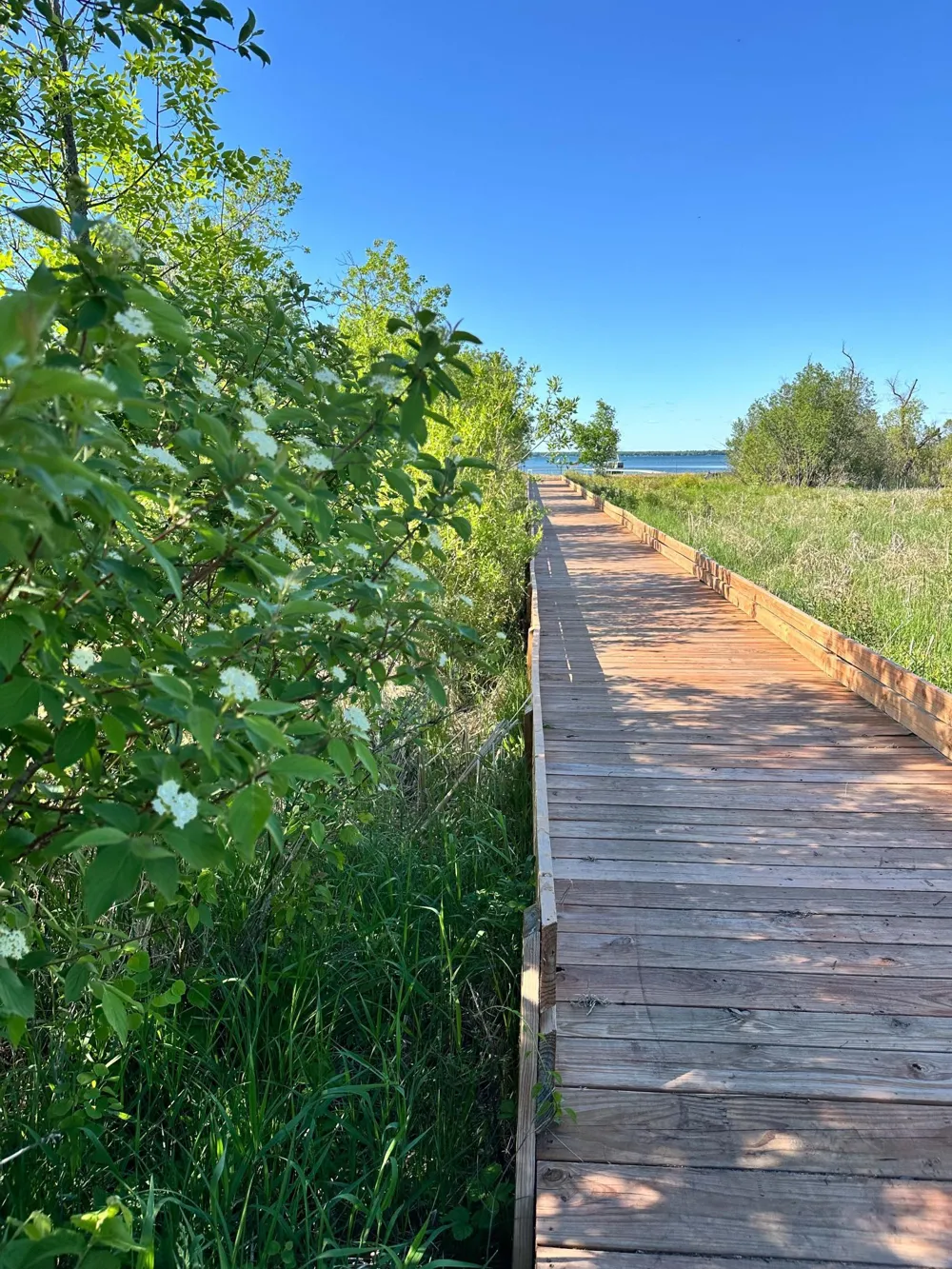 Lot J Norwood Lane Battle Lake, MN 56515
