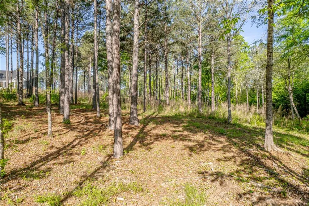 126 Falls Lane Milledgeville, GA 31061
