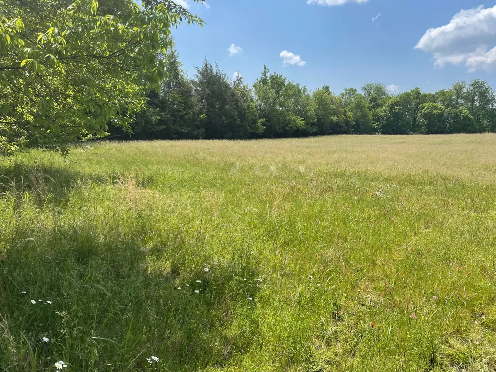 0 Maynard Lane Columbia, TN 38401