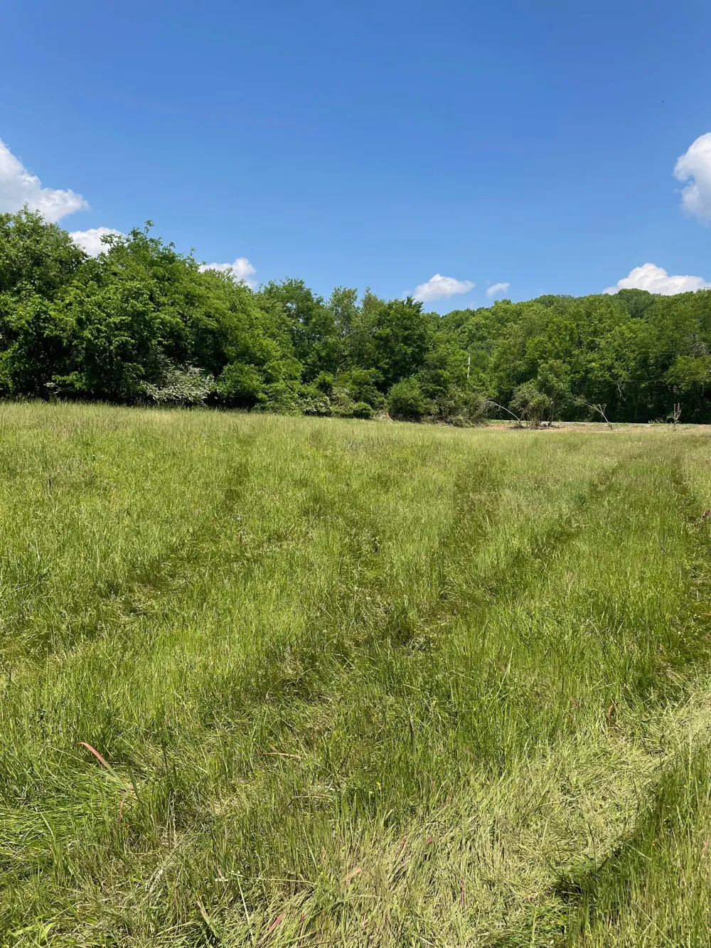 0 Maynard Lane Columbia, TN 38401