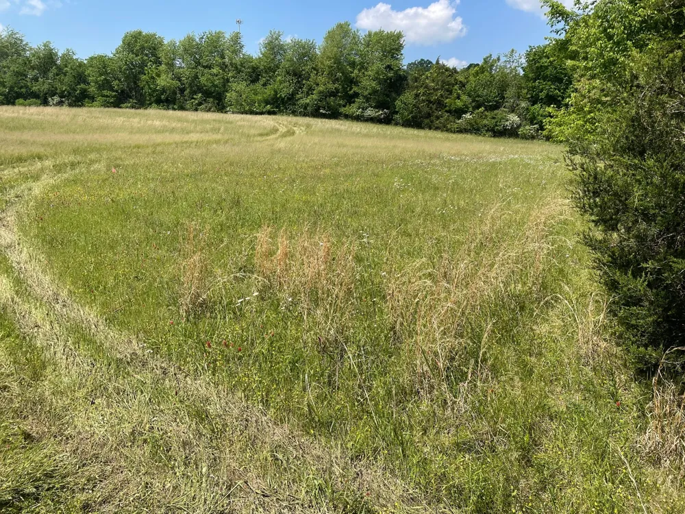 0 Maynard Lane Columbia, TN 38401