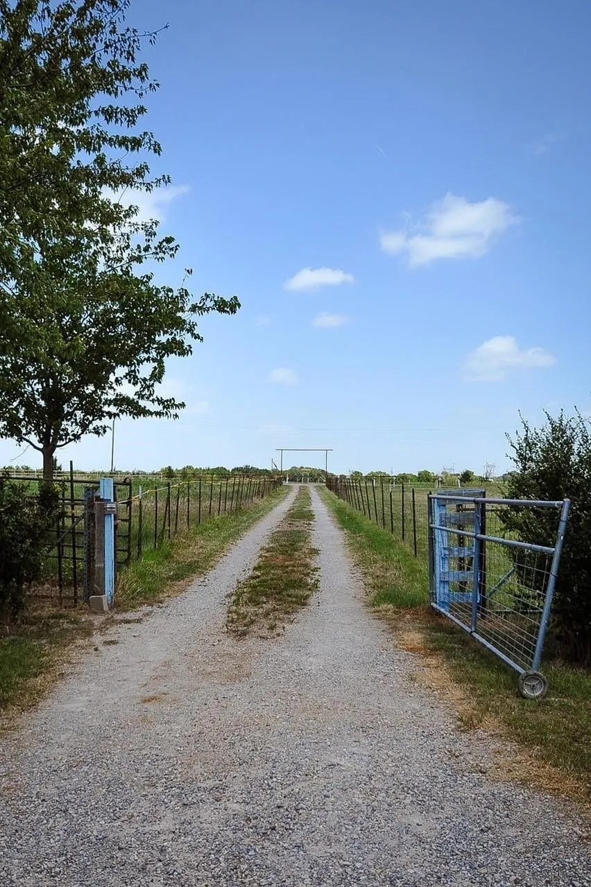 806 Fm 1752 Savoy, TX 75479
