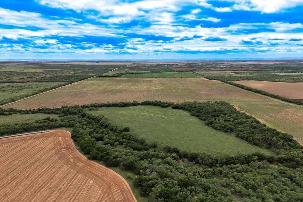 CR 429 Merkel, TX 79536