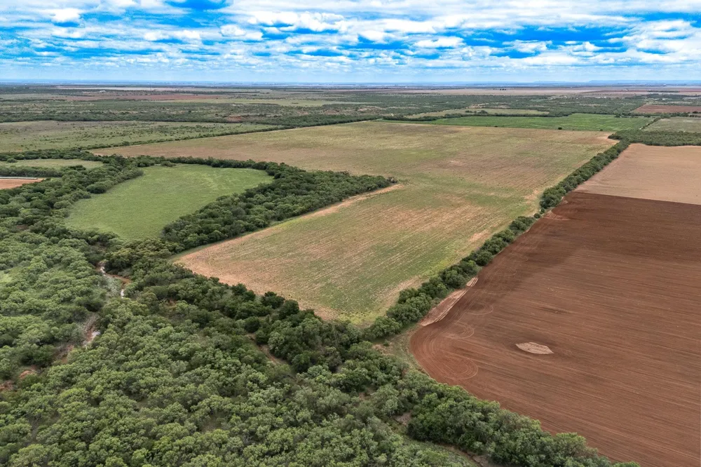 CR 429 Merkel, TX 79536