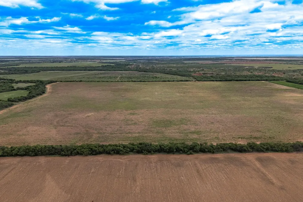 CR 429 Merkel, TX 79536