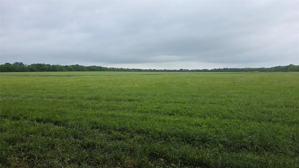 Fm 272 Celeste, TX 75452