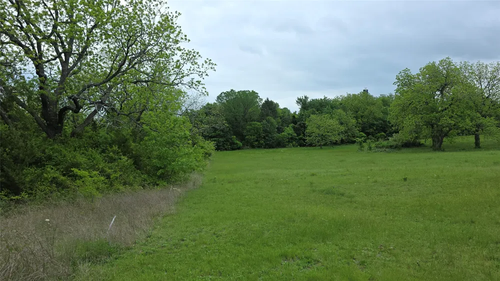 Fm 272 Celeste, TX 75452