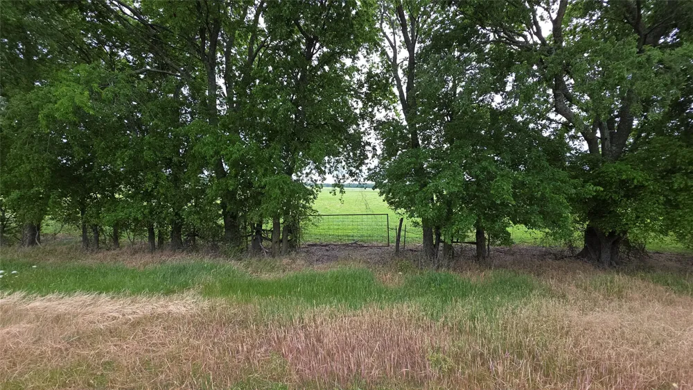 Fm 272 Celeste, TX 75452