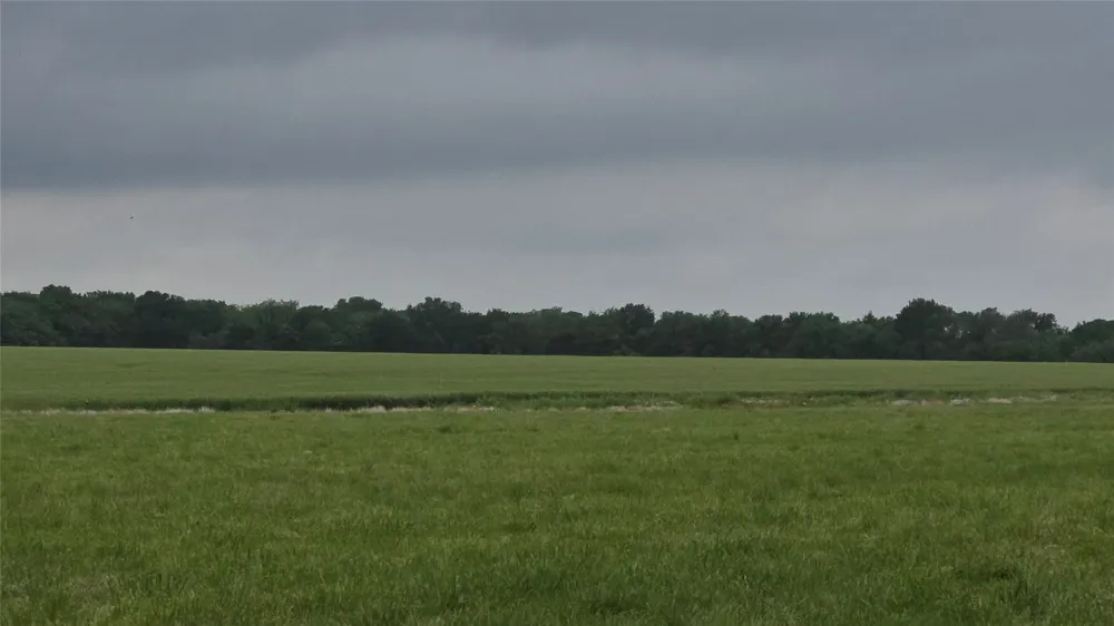 Fm 272 Celeste, TX 75452
