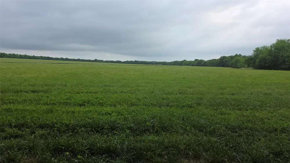 Fm 272 Celeste, TX 75452