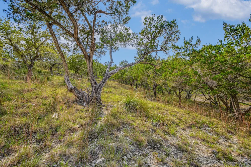 707 Deer Lake Road Wimberley, TX 78676