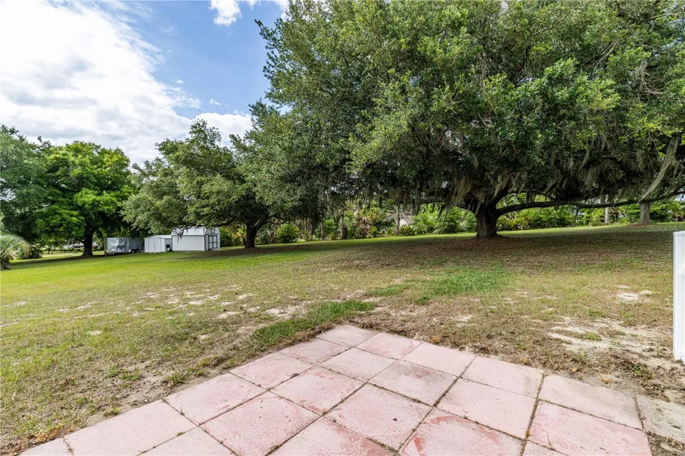 25101 TURKEY LAKE ROAD Howey In The Hills, FL 34737