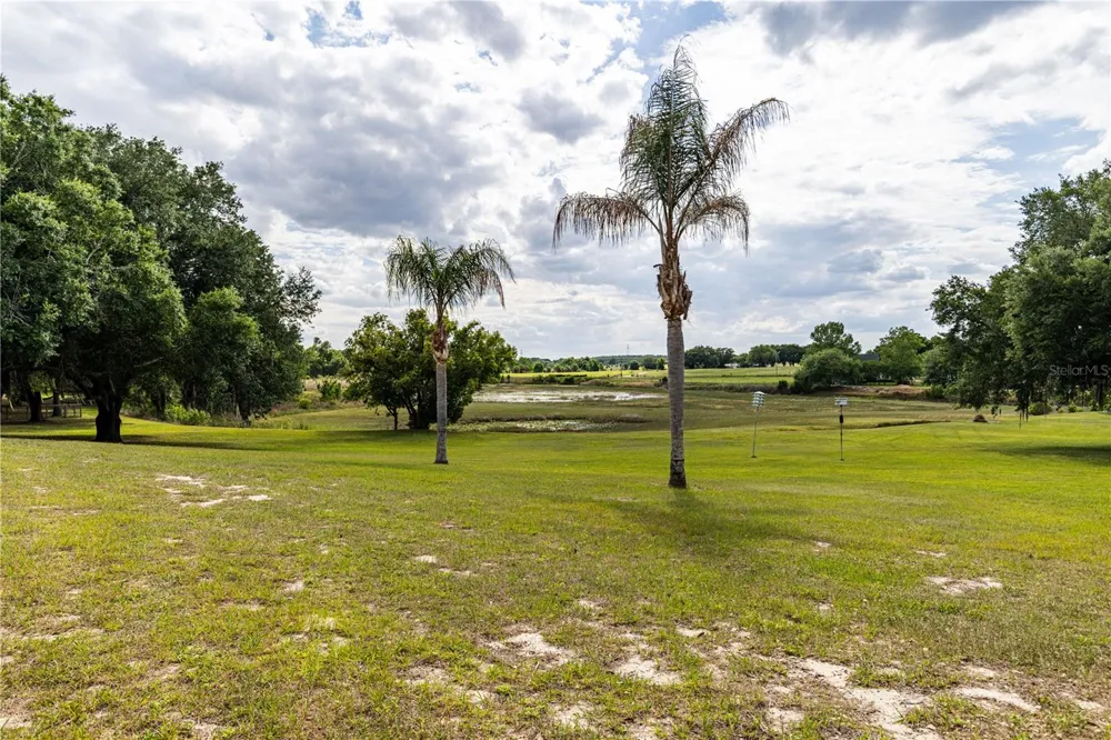 25101 TURKEY LAKE ROAD Howey In The Hills, FL 34737