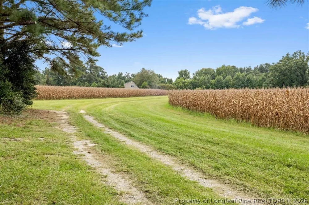10958 NC 904 Fairmont, NC 28340