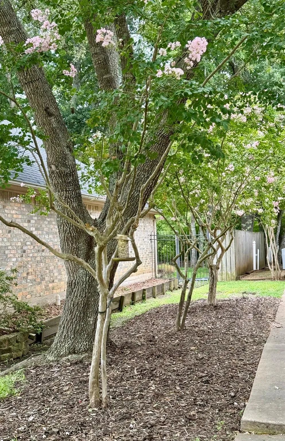 215 Enchanted Estates Drive Crockett, TX 75835
