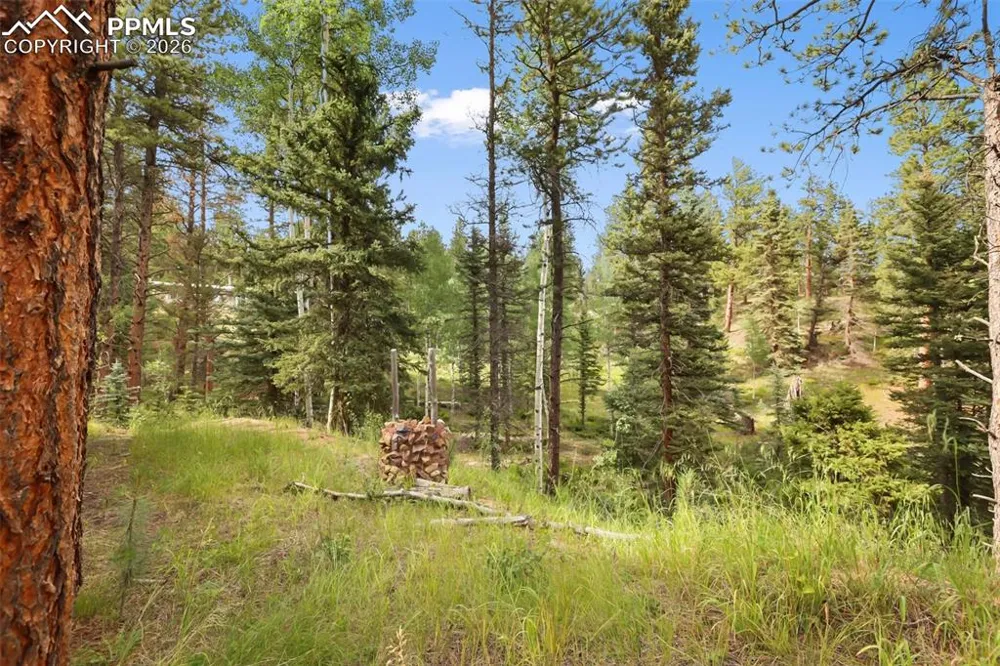 410 Rangeview Road Divide, CO 80814