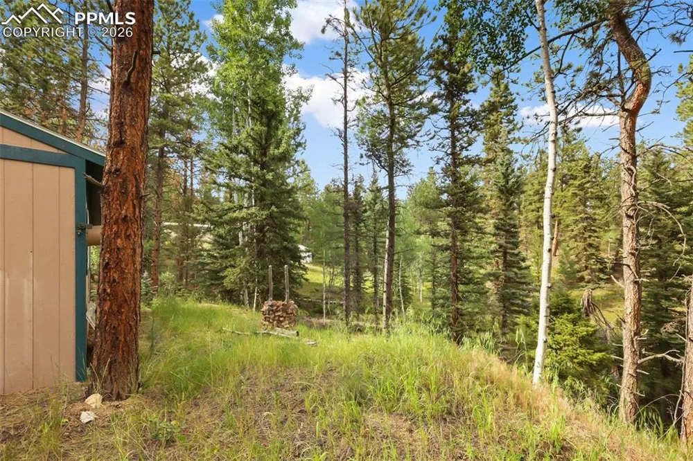 410 Rangeview Road Divide, CO 80814
