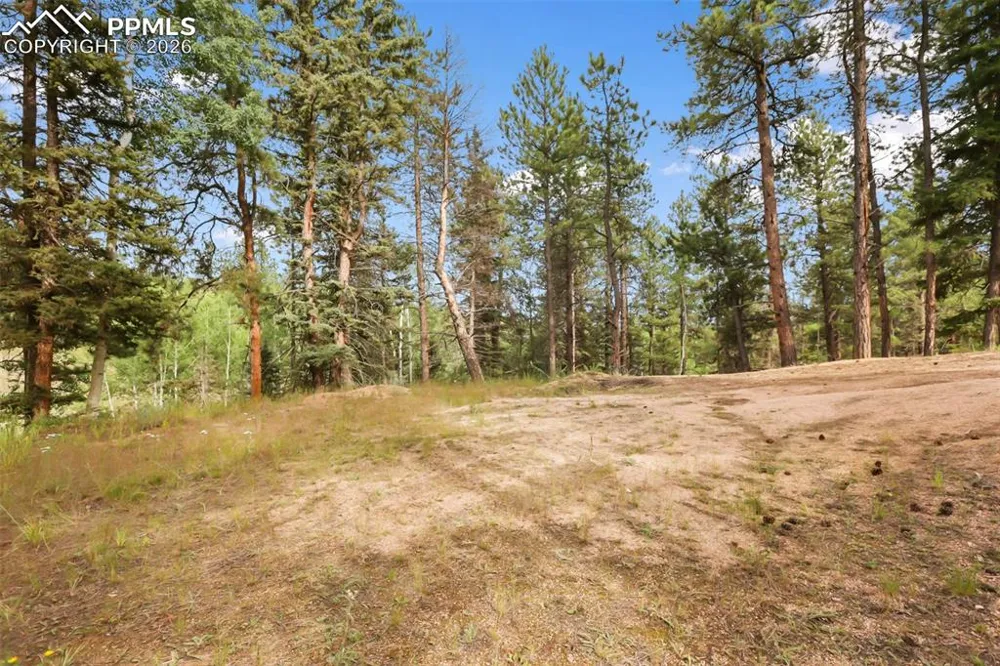 410 Rangeview Road Divide, CO 80814