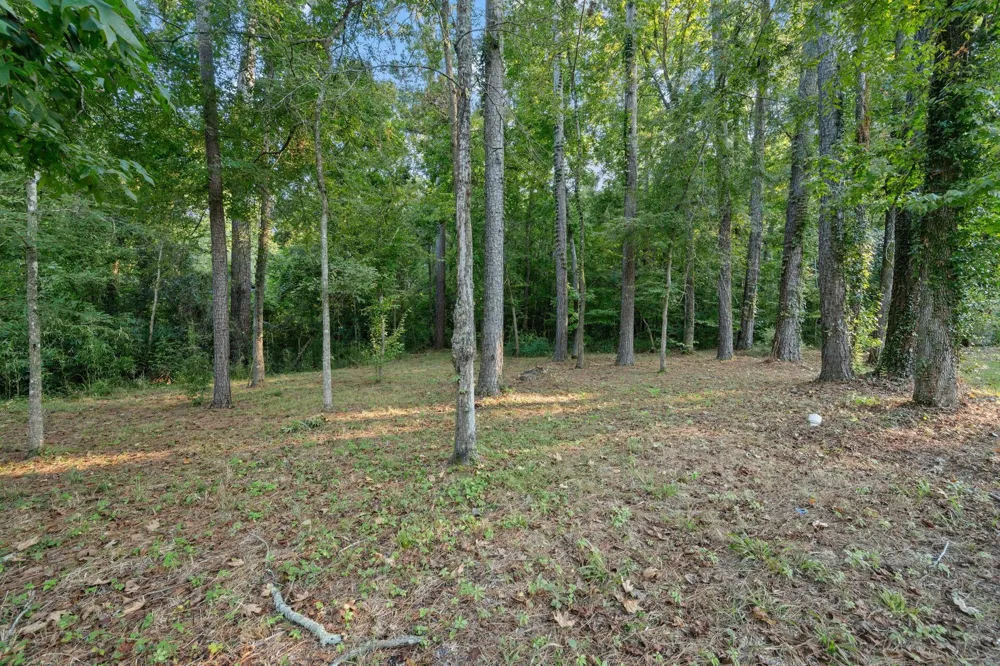 201 Harbor Run Drive Coldspring, TX 77331