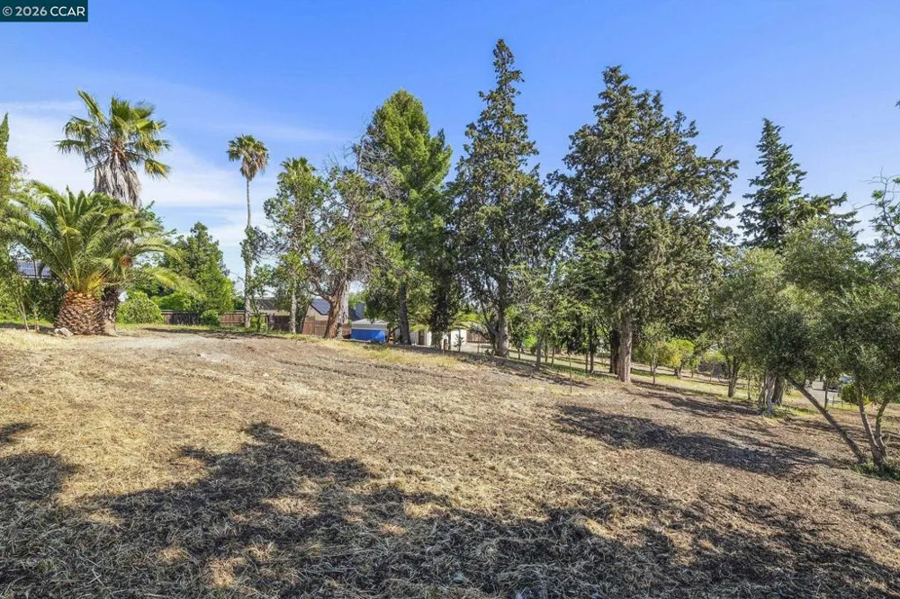 1051 Tilley Cir Concord, CA 94518