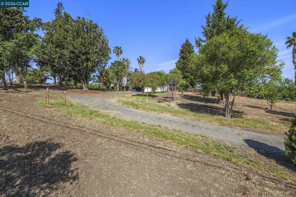 1051 Tilley Cir Concord, CA 94518
